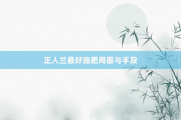 正人兰最好施肥局面与手段