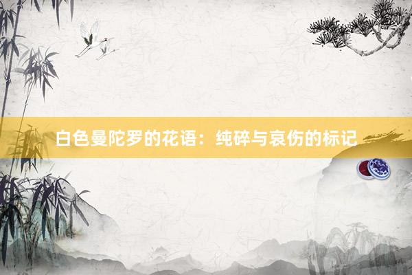 白色曼陀罗的花语：纯碎与哀伤的标记