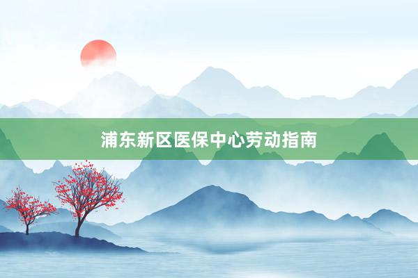 浦东新区医保中心劳动指南